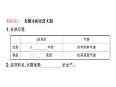初中地理新人教版七年級下冊第十章第二節(jié) 巴西作業(yè)課件2025春