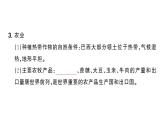 初中地理新人教版七年級下冊第十章第二節(jié) 巴西作業(yè)課件2025春