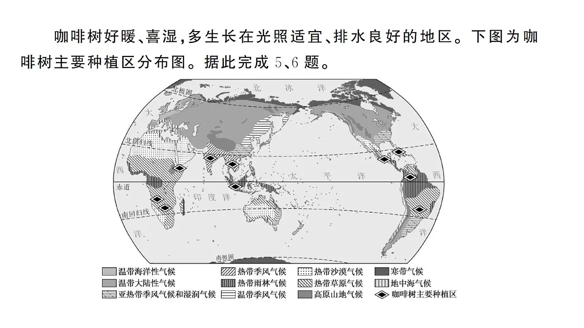 初中地理新人教版七年级下册第七章综合训练作业课件2025春第6页