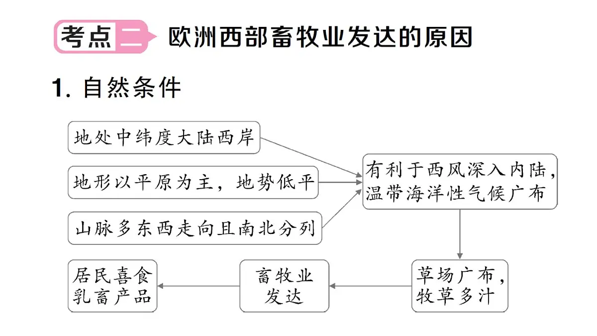 初中地理新人教版七年级下册第九章知识总结作业课件2025春第7页