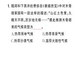 初中地理新人教版七年級下冊大單元主題探究二 海上商路的繼承與發(fā)展作業(yè)課件2025春