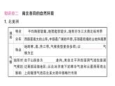 初中地理新湘教版七年級下冊第七章第三節(jié) 美洲作業(yè)課件2025春