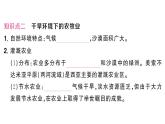初中地理新湘教版七年級下冊第八章第三節(jié) 西亞作業(yè)課件2025春