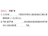 初中地理新湘教版七年級下冊第九章第二節(jié) 埃及作業(yè)課件2025春