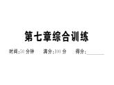初中地理新湘教版七年級(jí)下冊(cè)第七章 綜合訓(xùn)練作業(yè)課件2025春