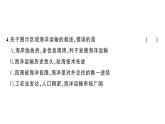 初中地理新湘教版七年級(jí)下冊(cè)第七章 綜合訓(xùn)練作業(yè)課件2025春