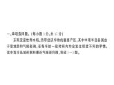 初中地理新湘教版七年級(jí)下冊(cè)第八章 綜合訓(xùn)練作業(yè)課件2025春