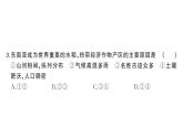 初中地理新湘教版七年級(jí)下冊(cè)第八章 綜合訓(xùn)練作業(yè)課件2025春