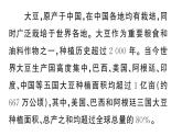 初中地理新湘教版七年級下冊大單元主題探究一 世界大豆生產(chǎn)現(xiàn)狀作業(yè)課件2025春