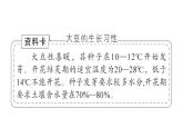 初中地理新湘教版七年級下冊大單元主題探究一 世界大豆生產(chǎn)現(xiàn)狀作業(yè)課件2025春