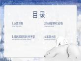 8.5北極地區(qū)和南極地區(qū)【課件+教學(xué)設(shè)計(jì)】——2025新教材湘教版初一地理下冊(cè)pptx