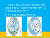 初中地理新湘教版七年級下冊第八章第五節(jié) 北極地區(qū)和南極地區(qū)教學課件2025春