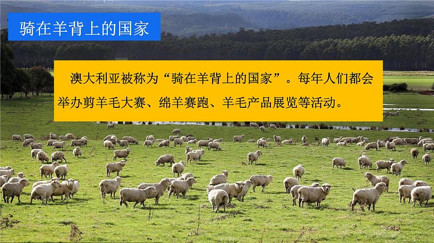 9.4 澳大利亚 第2课时  “骑在羊背上的国家”“坐在矿车上的国家” 课件-七年级地理下学期人教版（2024）第3页