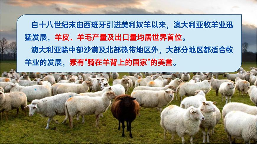 9.4 澳大利亚 第2课时  “骑在羊背上的国家”“坐在矿车上的国家” 课件-七年级地理下学期人教版（2024）第5页