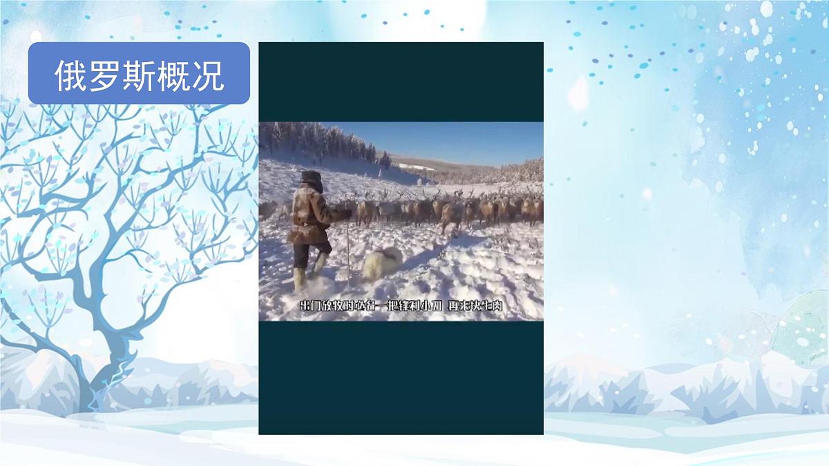 8.4 俄罗斯（第1课时） 课件- 2024-2025学年地理人教版七年级下册第4页