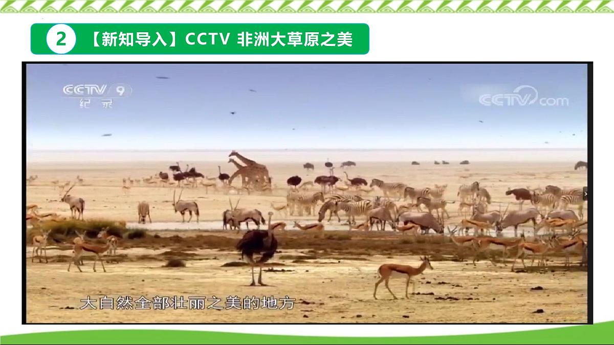 9.3 撒哈拉以南非洲 第1课时课件-2024-2025学年七年级地理下册 人教版第5页