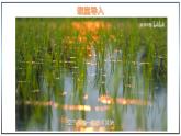 5.2 土地資源與農(nóng)業(yè) - 初中七年級地理下冊 同步教學(xué)課件+教學(xué)設(shè)計(jì)（中圖版2024）