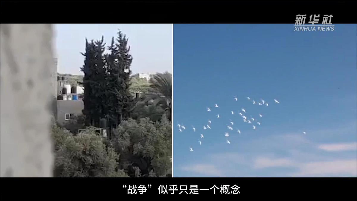 2024—2025学年七年级地理下学期人教版9.1 西亚（课时1）PPT第1页