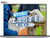 9.4.2澳大利亞【課件+教學(xué)設(shè)計(jì)】（第2課時(shí)——騎在羊背上的國家、坐在礦車上的國家）——2025新教材人教版初一地理下冊