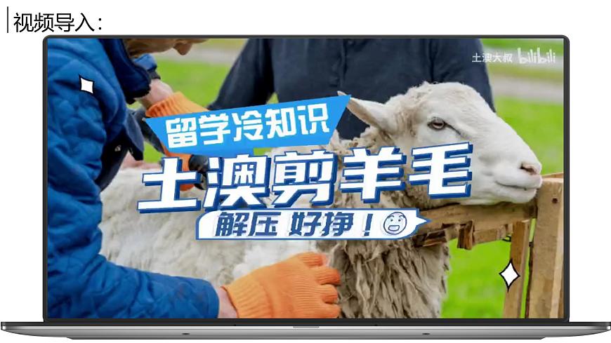 9.4.2澳大利亚【课件】（第2课时——骑在羊背上的国家、坐在矿车上的国家）——2025新教材人教版初一地理下册第2页