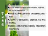 9.4.2澳大利亞【課件+教學(xué)設(shè)計(jì)】（第2課時(shí)——騎在羊背上的國家、坐在礦車上的國家）——2025新教材人教版初一地理下冊