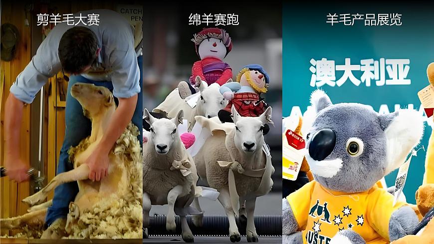 9.4.2澳大利亚【课件】（第2课时——骑在羊背上的国家、坐在矿车上的国家）——2025新教材人教版初一地理下册第6页