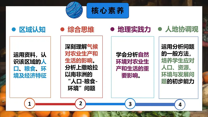 9.3.2 撒哈拉以南的非洲（课时2）2025学年七年级地理下册（人教版2024） 课件第2页