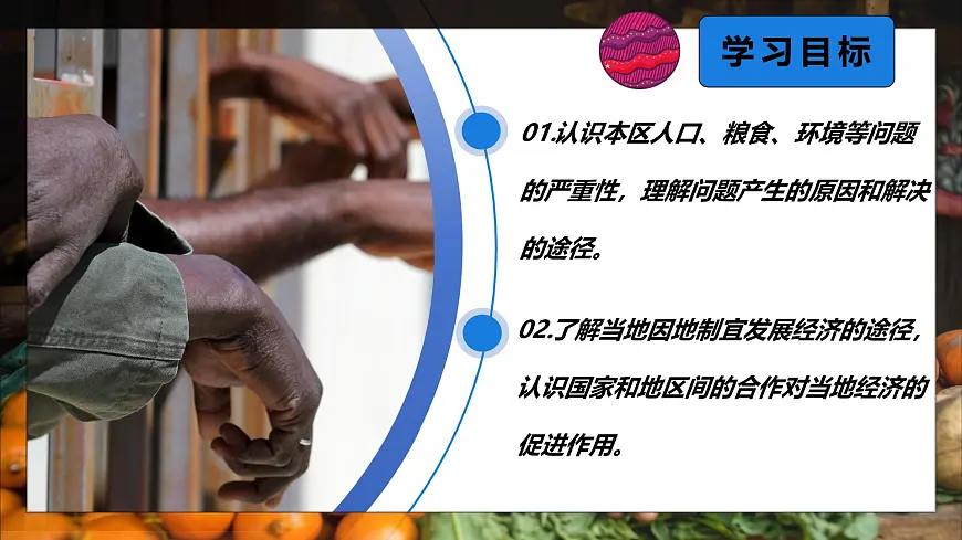 9.3.2 撒哈拉以南的非洲（课时2）2025学年七年级地理下册（人教版2024） 课件第3页