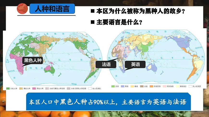 9.3.2 撒哈拉以南的非洲（课时2）2025学年七年级地理下册（人教版2024） 课件第5页
