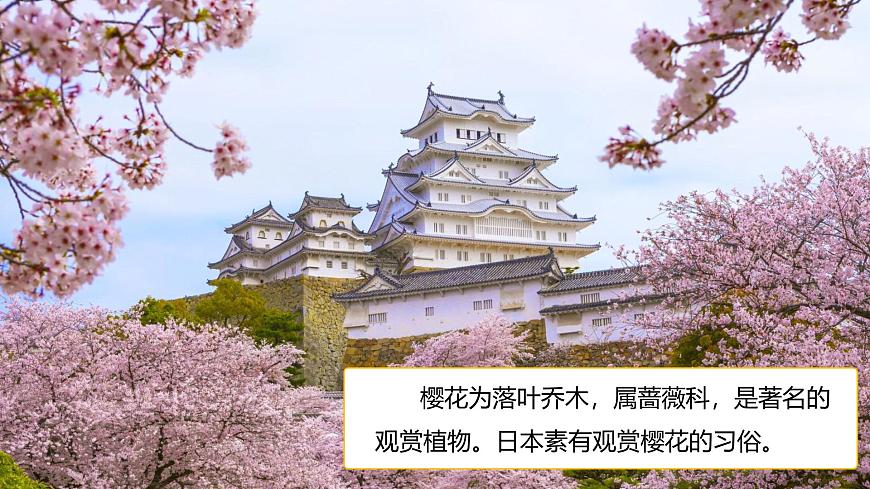 9.1 日本 第1课时 自然环境 2025学年七年级地理下学期湘教版（2024）课件第6页