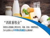 8.4 歐洲西部 課件 2025學(xué)年七年級(jí)地理下學(xué)期湘教版（2024）
