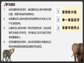 7.1 撒哈拉以南非洲 2025學(xué)年七年級(jí)地理下冊(cè)（粵人版2024） 課件