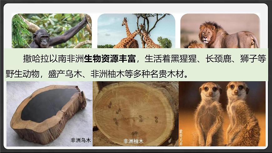 7.1 撒哈拉以南非洲 2025学年七年级地理下册（粤人版2024） 课件第5页