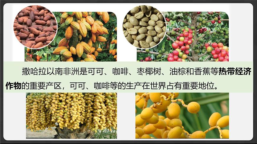 7.1 撒哈拉以南非洲 2025学年七年级地理下册（粤人版2024） 课件第6页