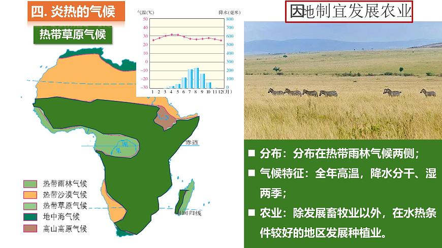 7.2 非洲 第2课时课件-2024-2025学年七年级下册地理湘教版第7页