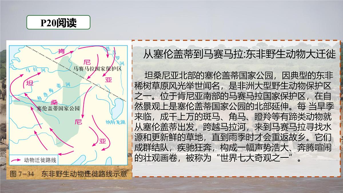 7.2 非洲 第2课时课件-2024-2025学年七年级下册地理湘教版第8页