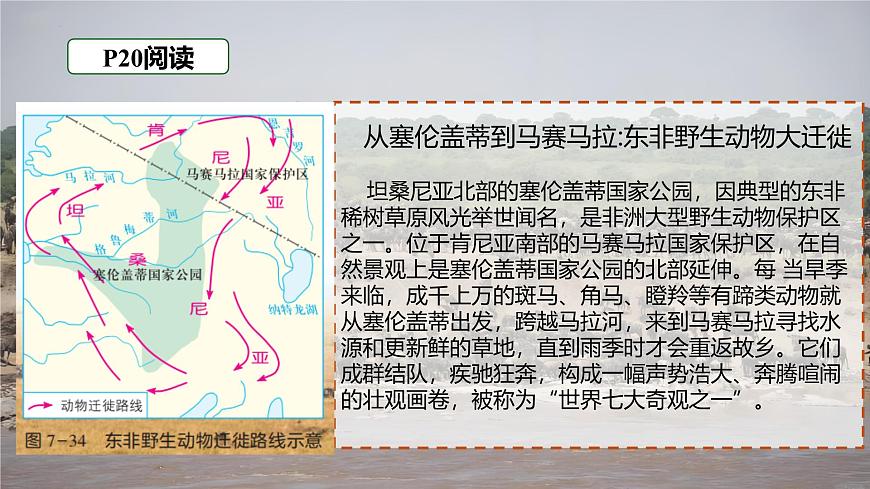 7.2 非洲 第2课时课件-2024-2025学年七年级下册地理湘教版第8页