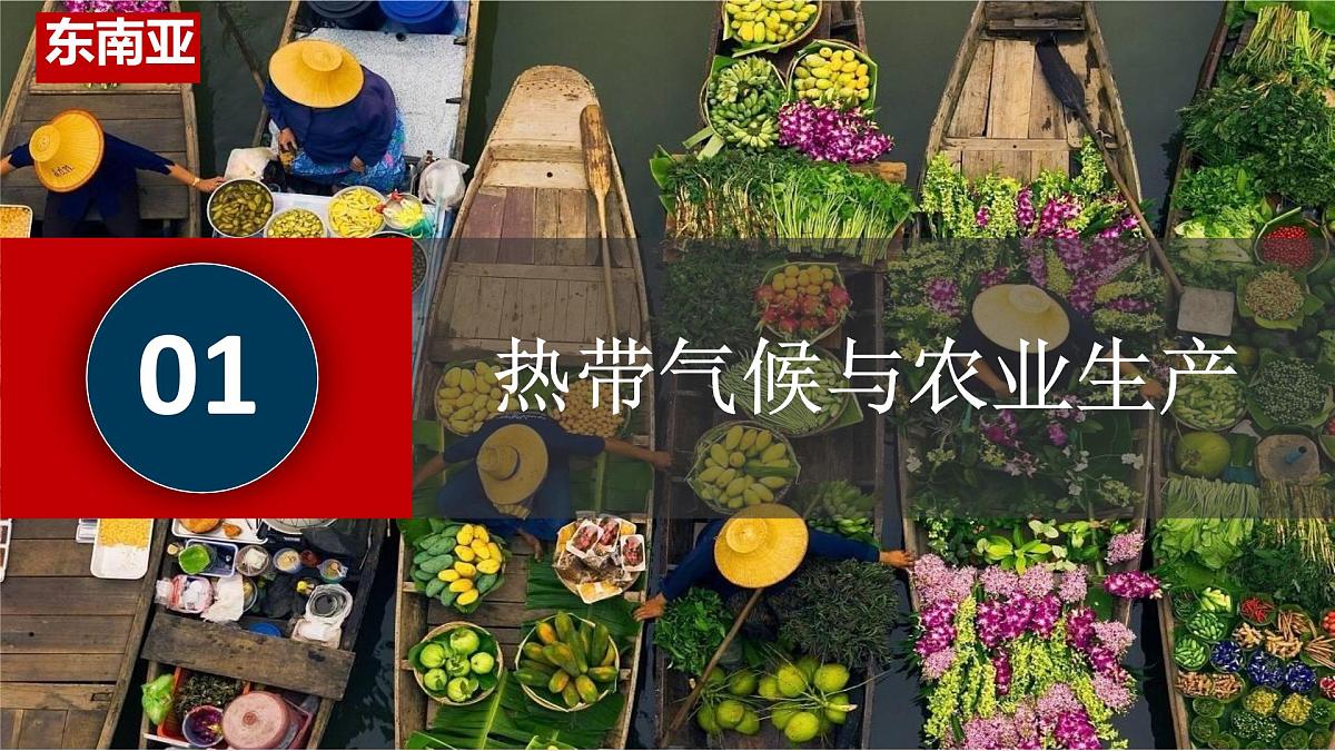 初中 地理 人教版（2024） 七年级下册第二节 东南亚第二课时 课件第4页