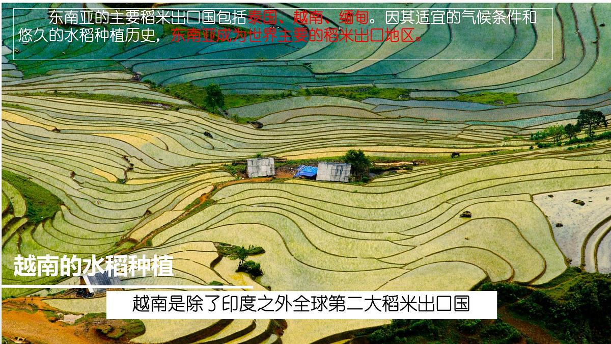 初中 地理 人教版（2024） 七年级下册第二节 东南亚第二课时 课件第8页