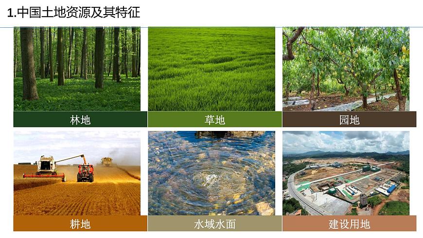初中 地理 中图版（2024）七年级下册5.2 土地资源与农业 课件第5页