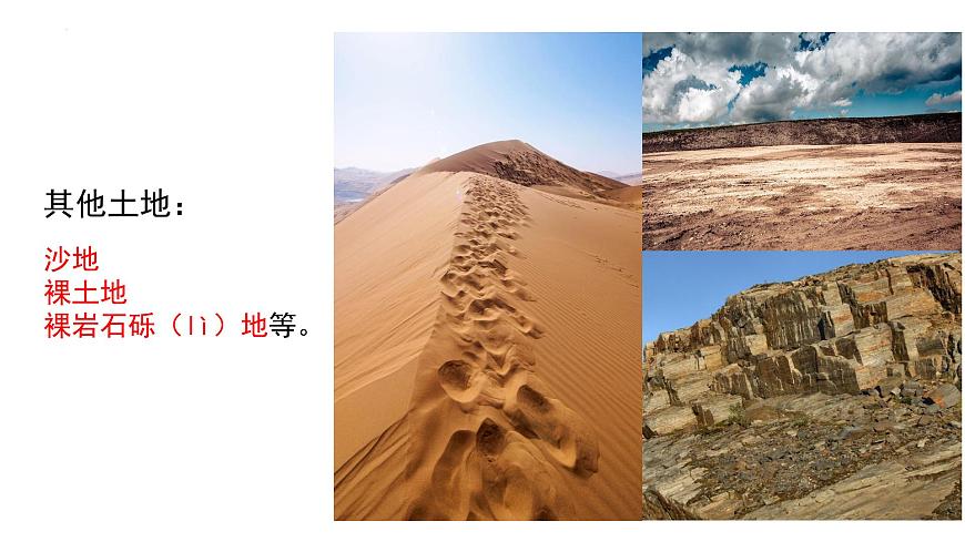初中 地理 中图版（2024）七年级下册5.2 土地资源与农业 课件第7页