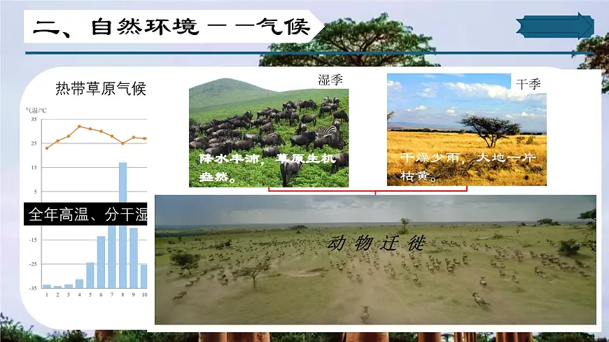 8.1 助力撒哈拉以南非洲的可持续发展（课件）-2024-2025学年七年级地理下册（晋教版2024）第7页