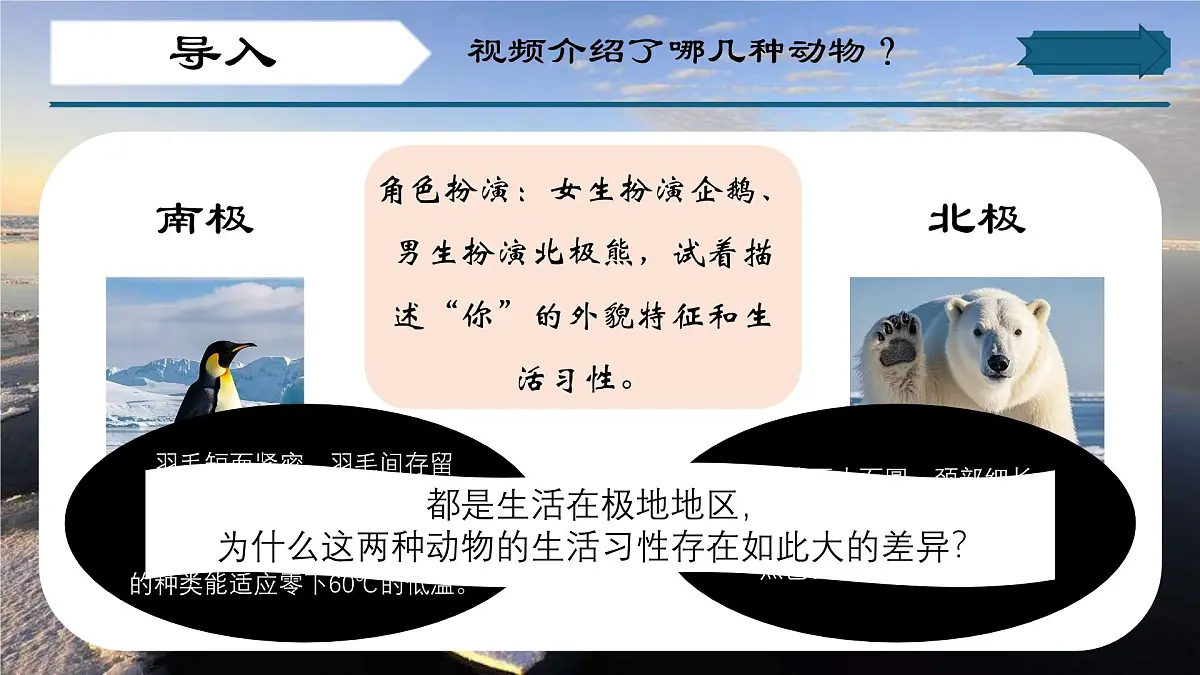 8.2 推动两极地区的环境保护（第一课时）（课件）-2024-2025学年七年级地理下册（晋教版2024）第3页