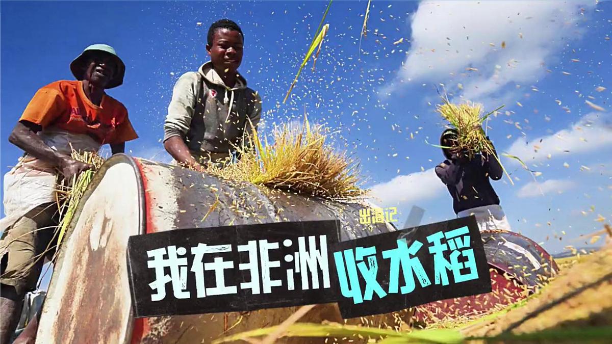 2024—2025学年下学期七年级地理下册人教版9.3 第三节 撒哈拉以南非洲（课时2）PPT第1页