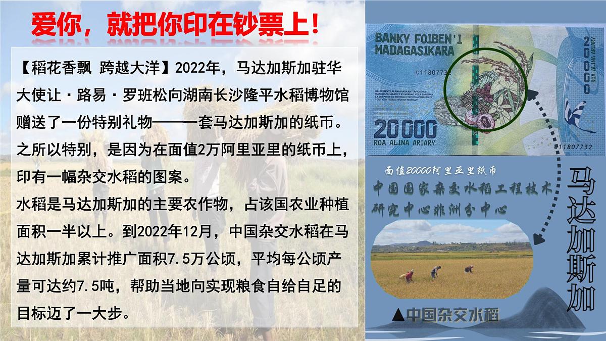 2024—2025学年下学期七年级地理下册人教版9.3 第三节 撒哈拉以南非洲（课时2）PPT第2页