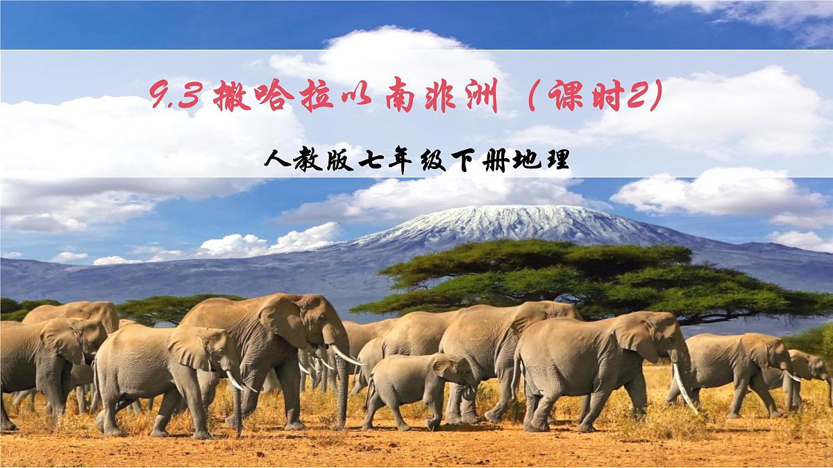 2024—2025学年下学期七年级地理下册人教版9.3 第三节 撒哈拉以南非洲（课时2）PPT第3页