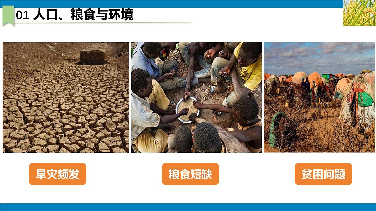 2024—2025学年下学期七年级地理下册人教版9.3 第三节 撒哈拉以南非洲（课时2）PPT第6页