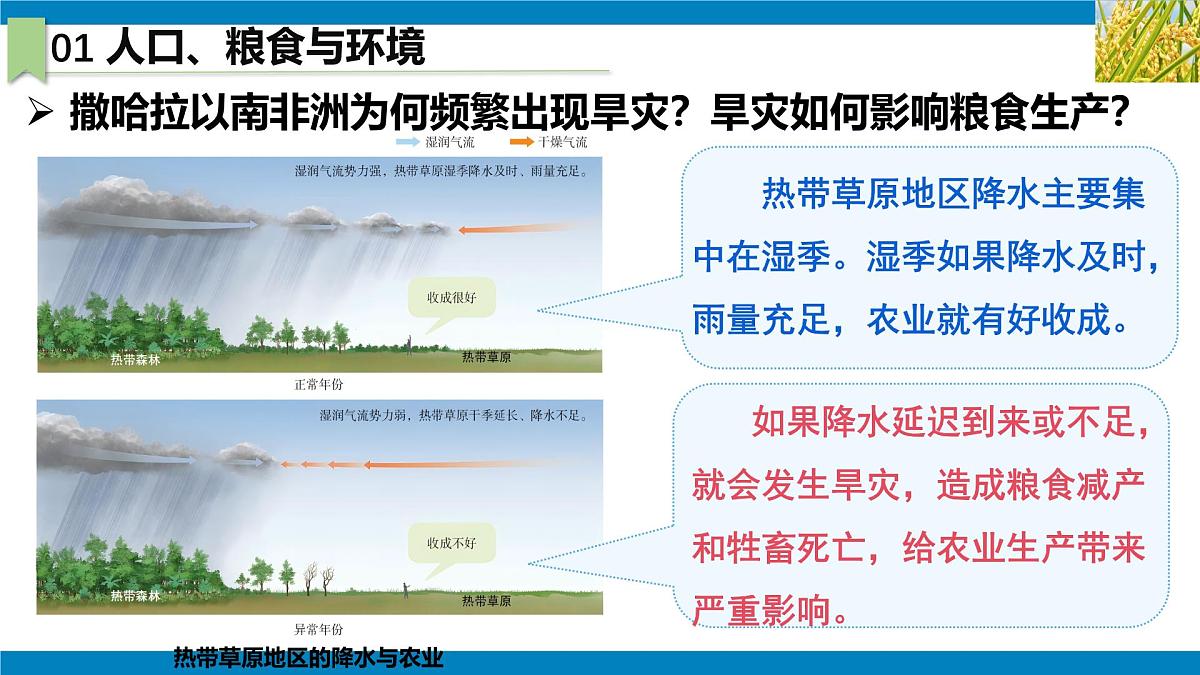 2024—2025学年下学期七年级地理下册人教版9.3 第三节 撒哈拉以南非洲（课时2）PPT第8页