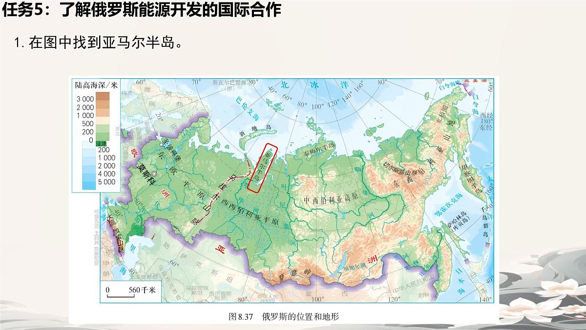 初中  地理  人教版（2024）  七年级下册(2024)  第八章第四节 俄罗斯 课件第8页