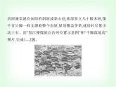 中圖版初中七年級地理下冊第6章素養(yǎng)綜合檢測課件